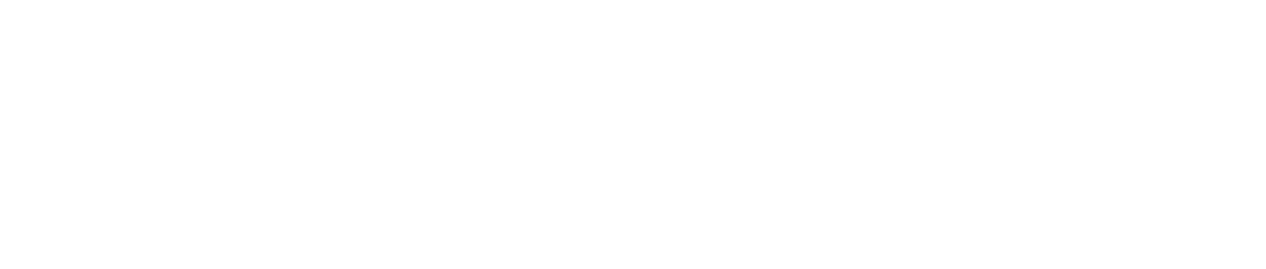 sp-logo-white-1